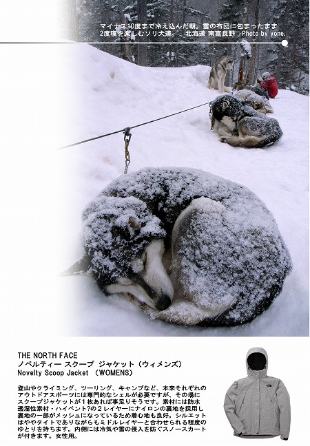 W450-カタログ風：ソリ犬の適温.jpg